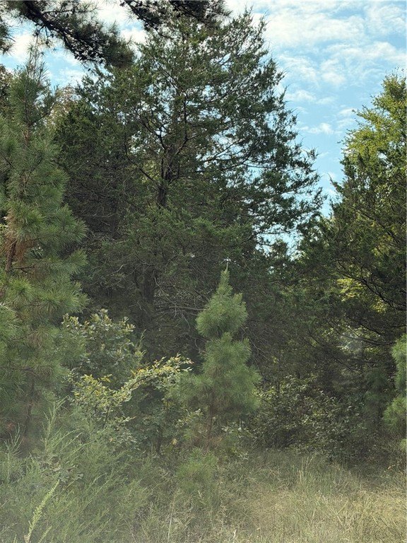 Picture 22