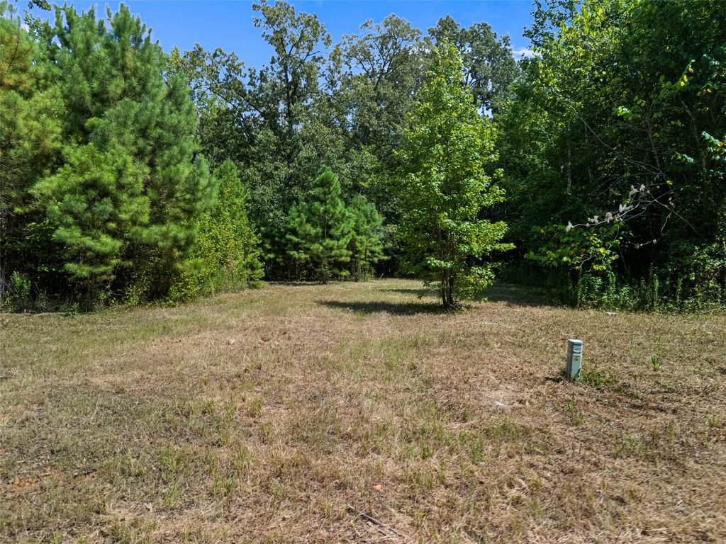 Picture 14