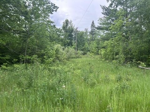 LAND - Spruce, MI