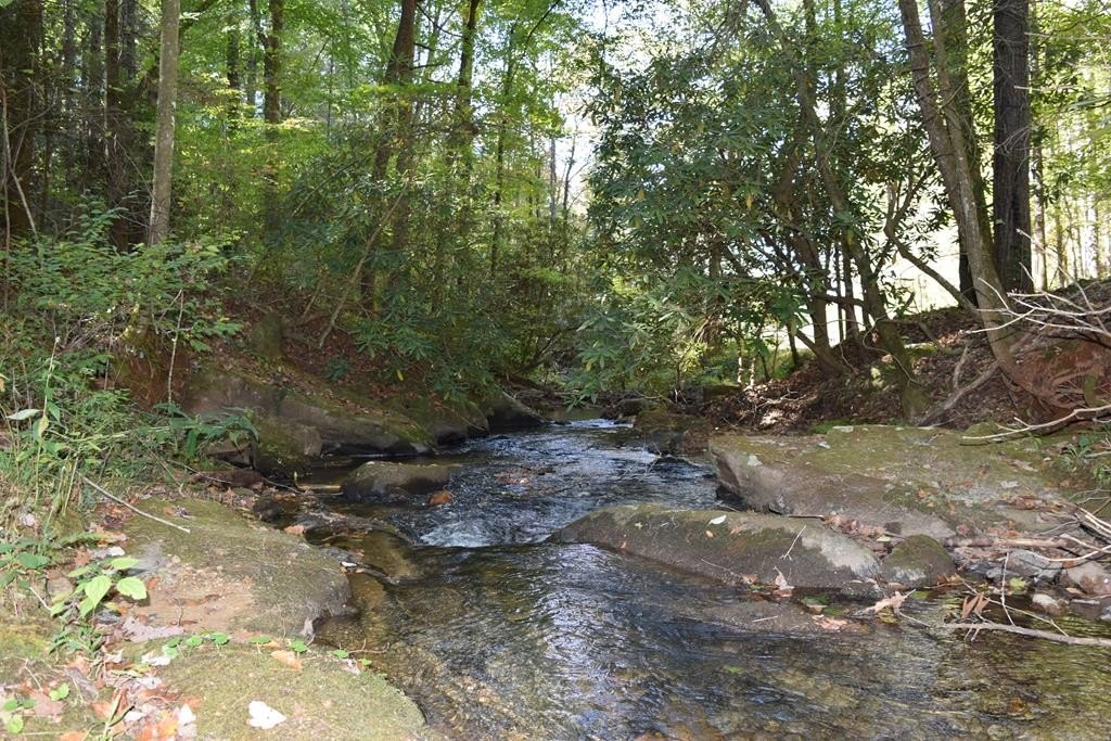 Ellijay Acreage with Creek Frontage