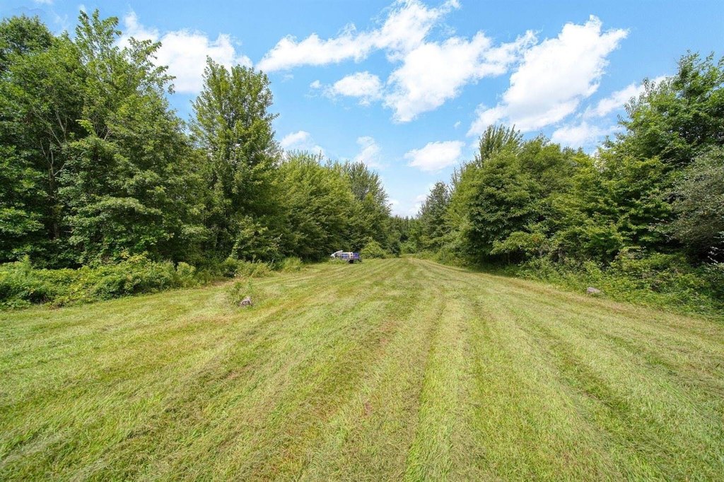 Picture 20