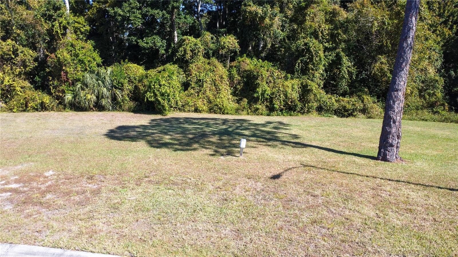 Residential Lot in 55+ Community