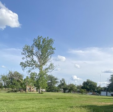 Residential Land with Development Potential