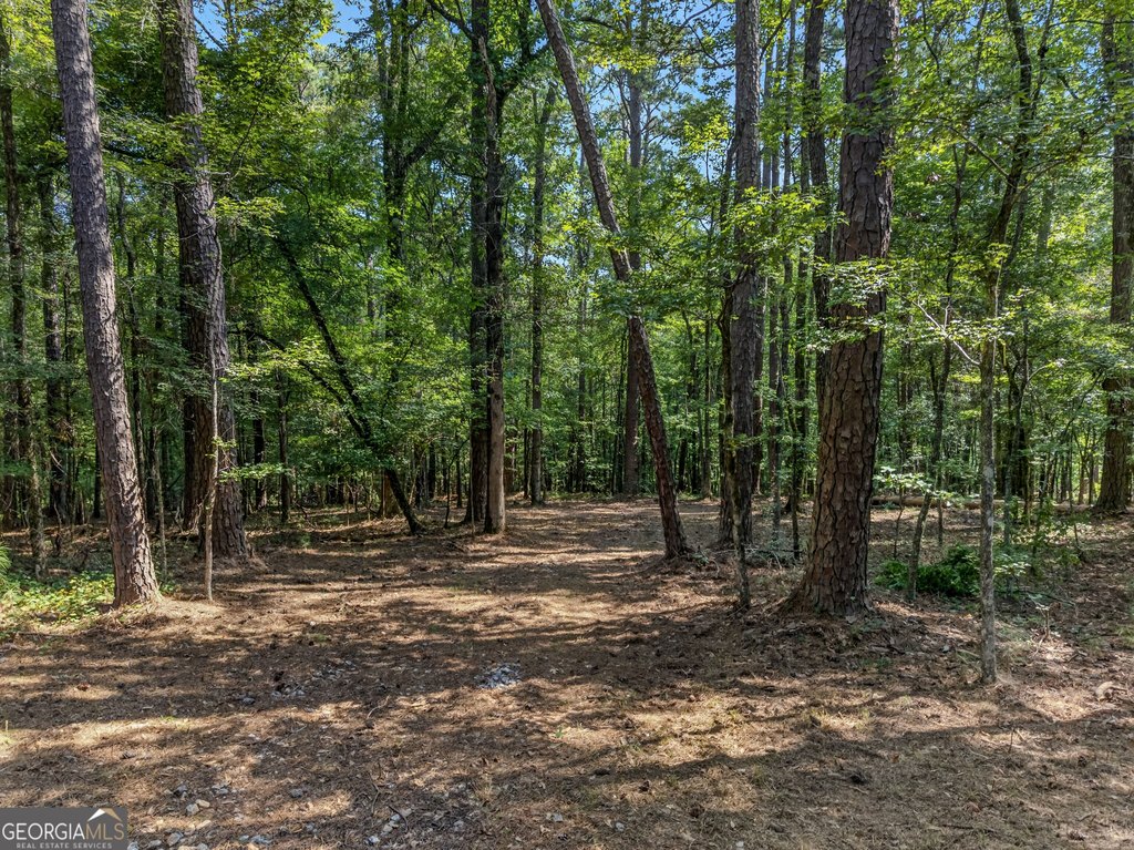 Picture 28