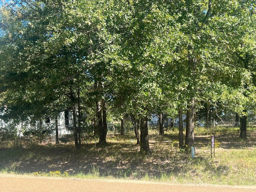 Picture 2