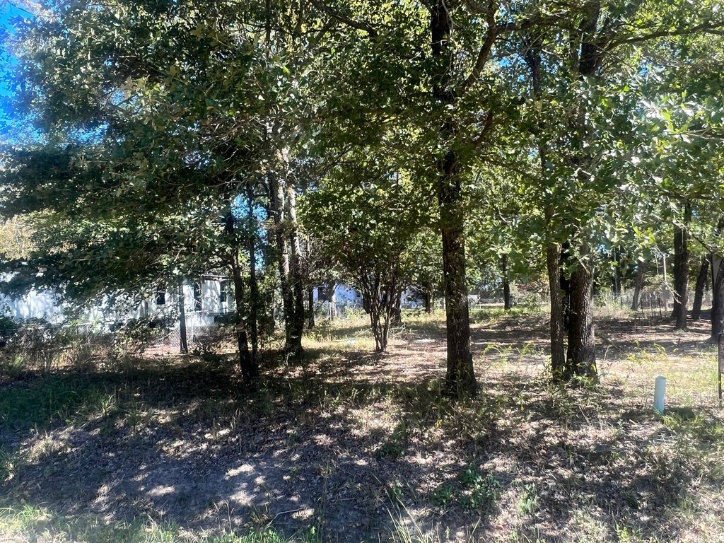 Picture 5