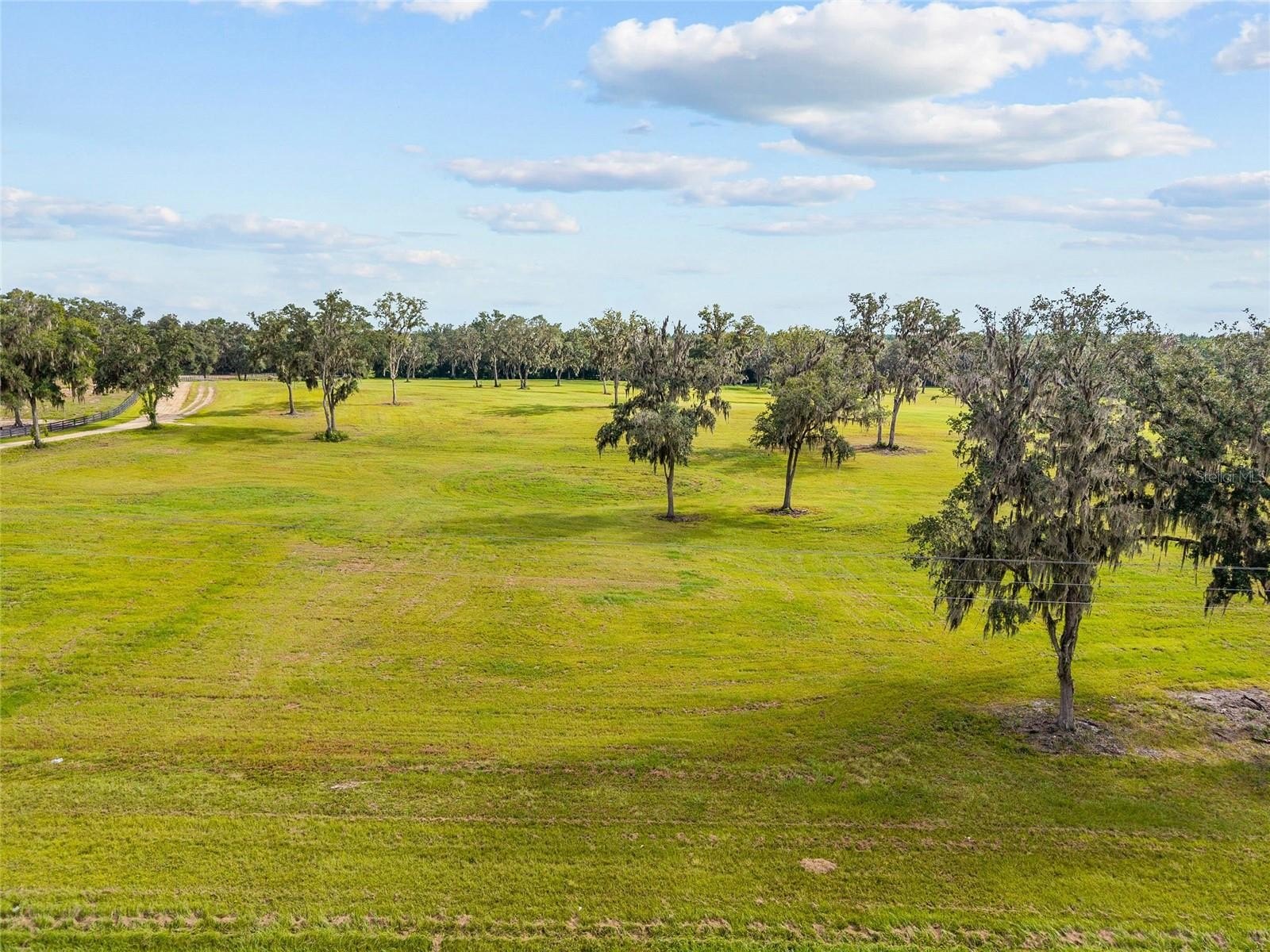 Cleared Land Near Equine Venues
