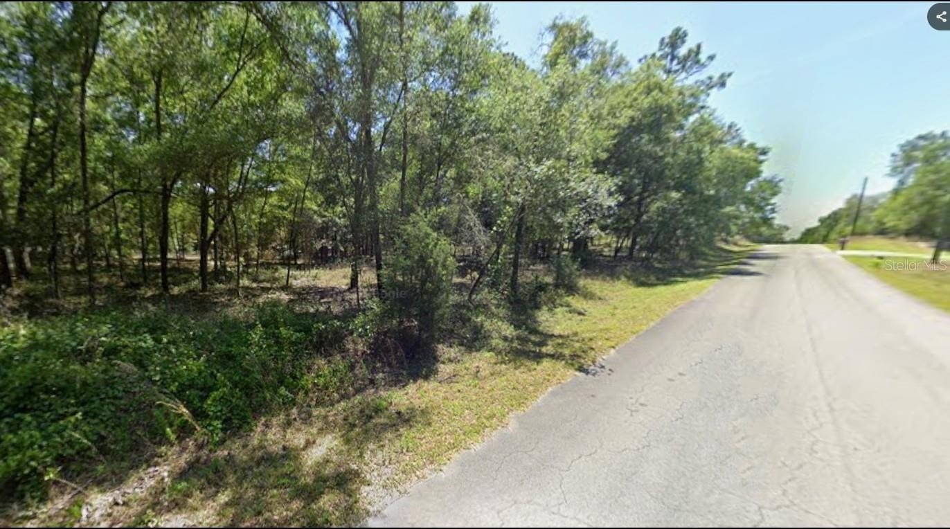 Spacious Homesite in Rainbow Acres