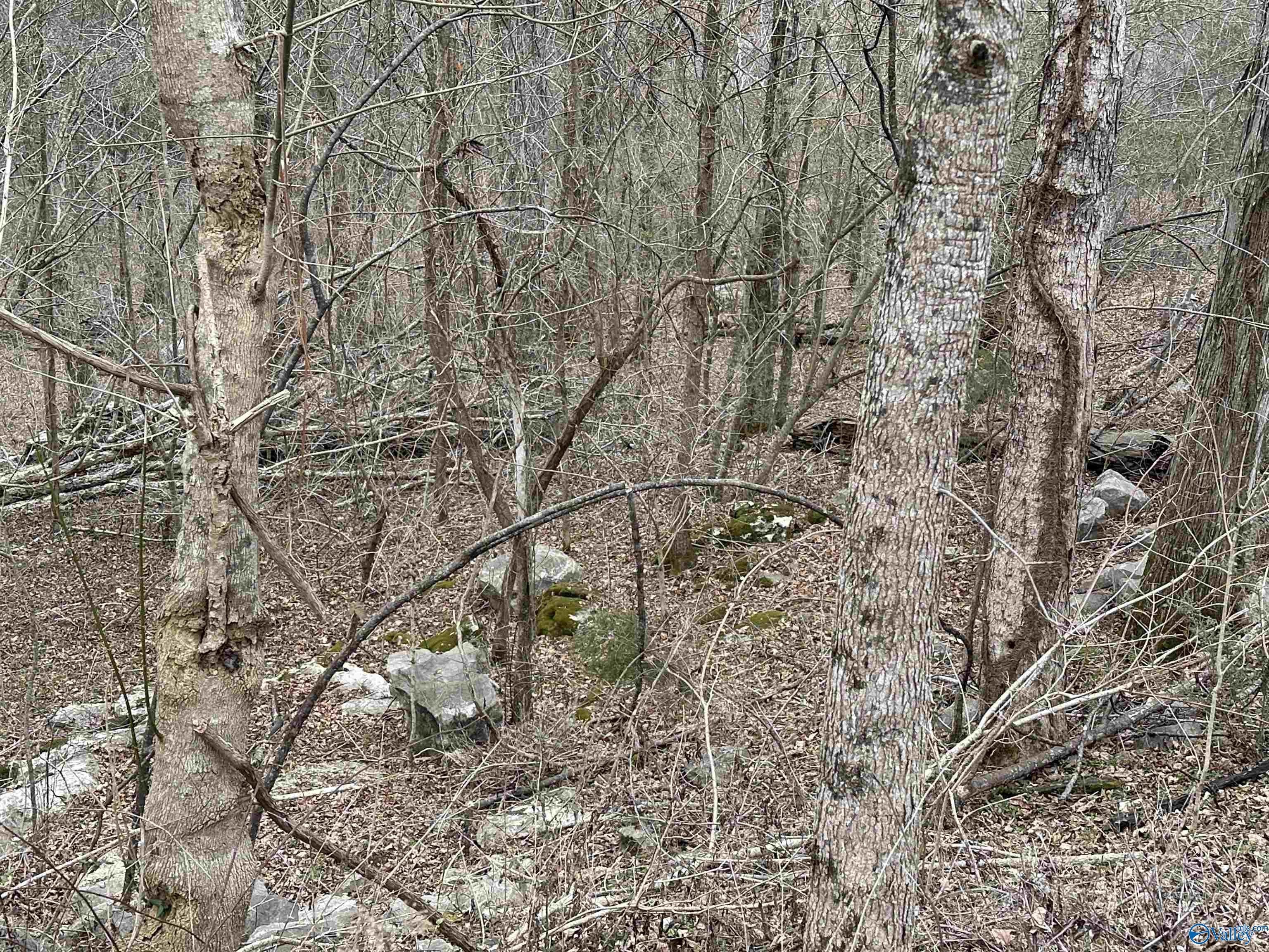 Residential Land in Legacy Preserve