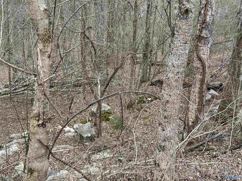Land, Brownsboro, AL