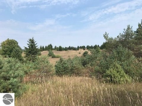 LAND - KALEVA, MI