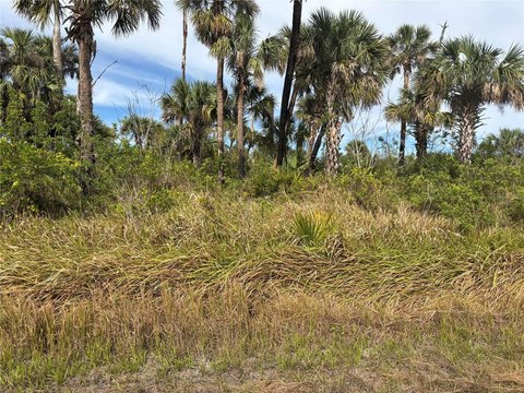 Land, NORTH PORT, FL