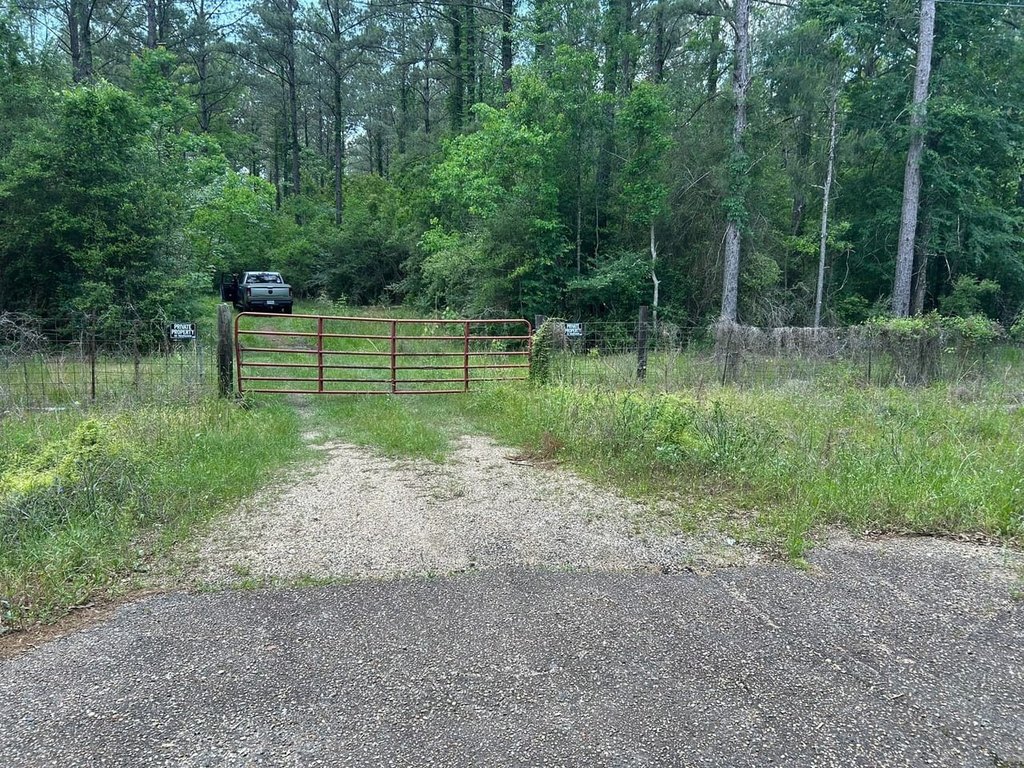 Picture 16