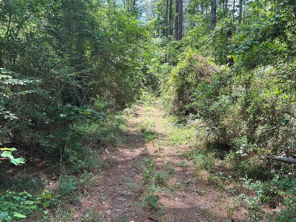 Picture 7