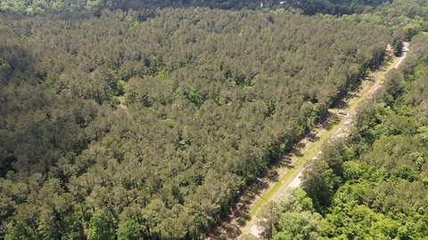 Timber and Hunting Tract