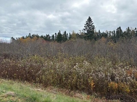 LAND - Lubec, ME