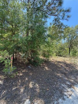 Residential Acreage Lot