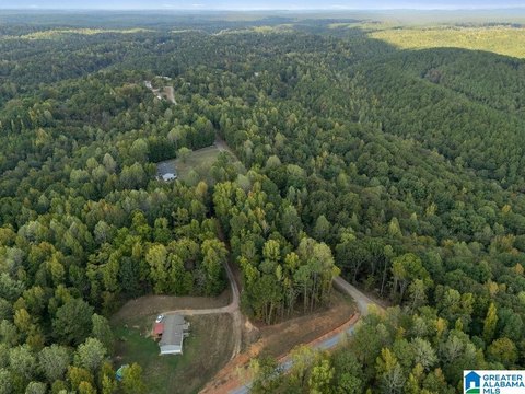 LAND/LOTS, CORDOVA, AL