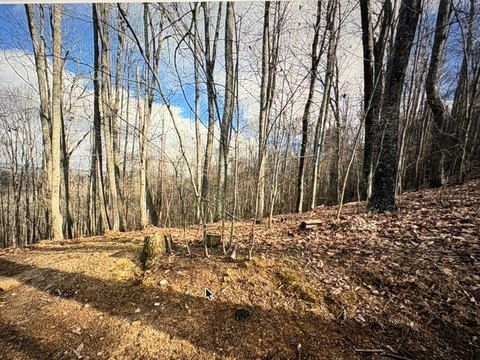 LAND - Blairsville, GA
