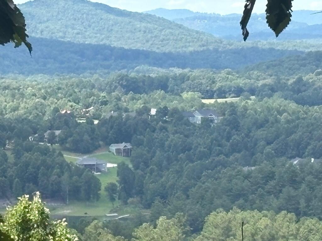 Picture 4