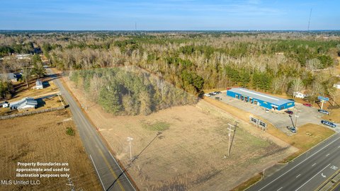 Prime Commercial Land in Petal