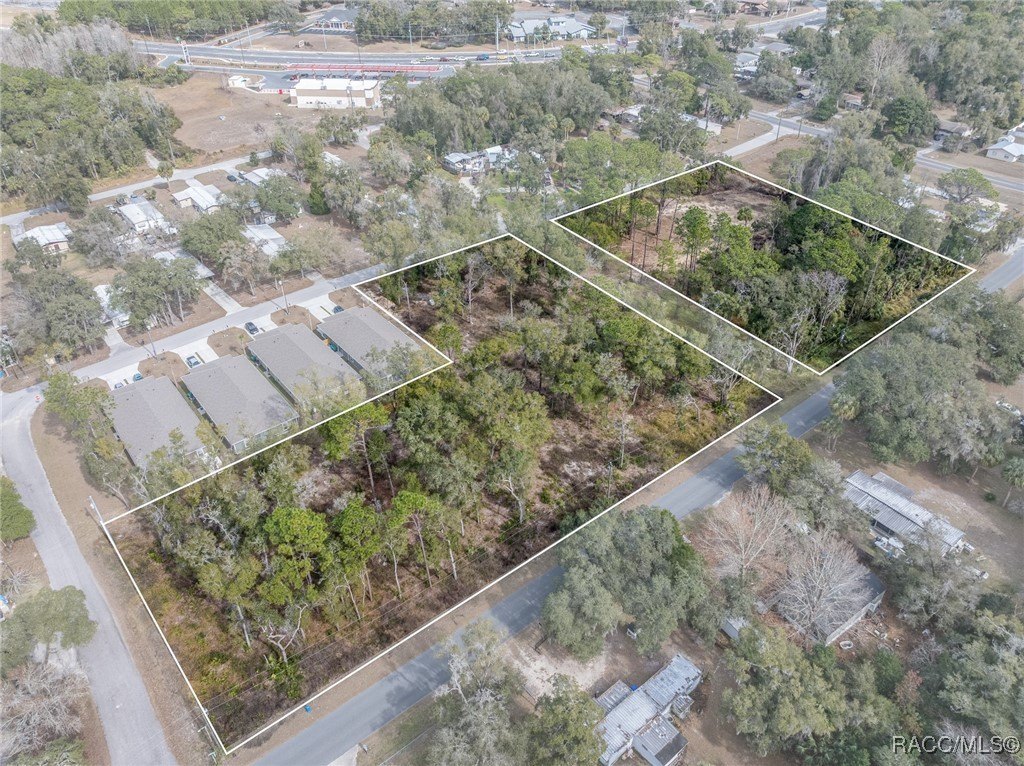 Crystal River Subdivided Lots