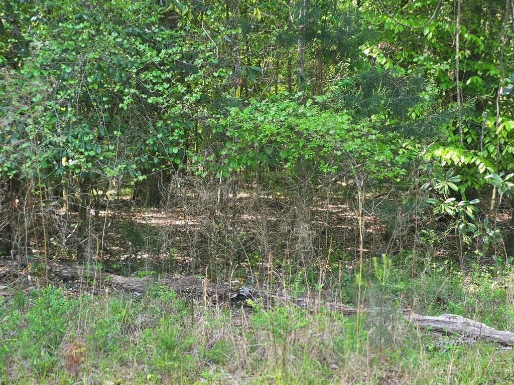 Georgetown, GA Land For Sale