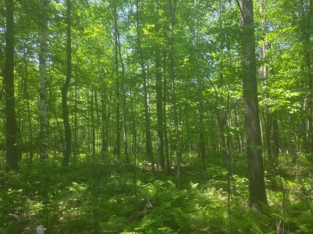 Picture 8