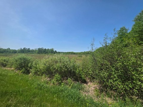 80 Acres of Recreational Land