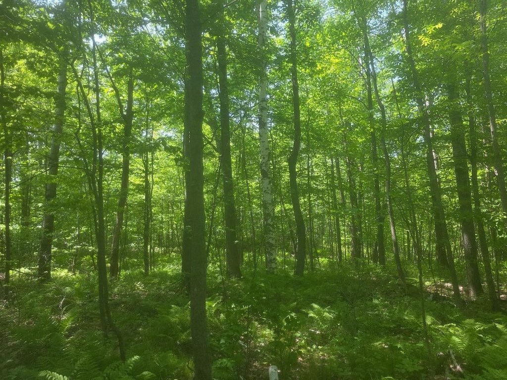 Picture 3