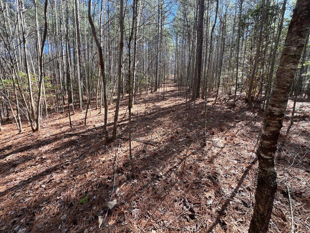 Picture 17