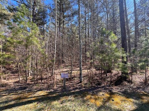 LAND - Blairsville, GA