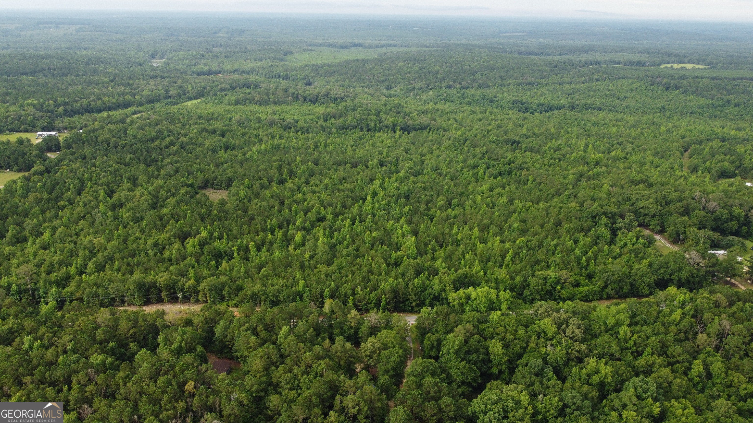 Unrestricted Acreage in Ideal, Georgia