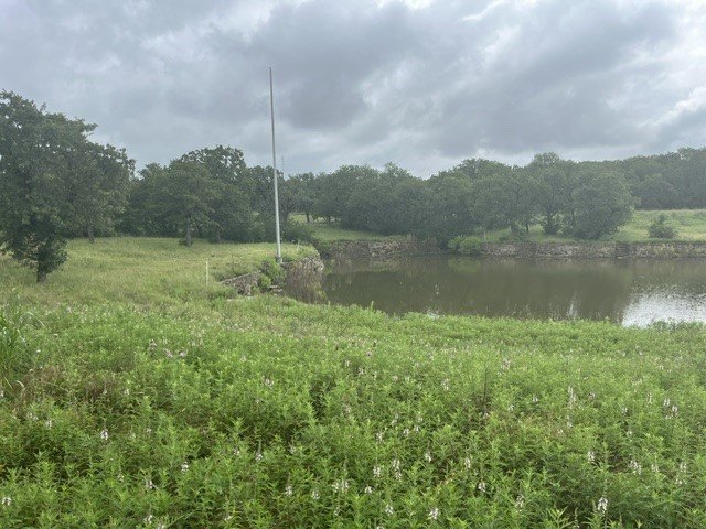 Picture 9