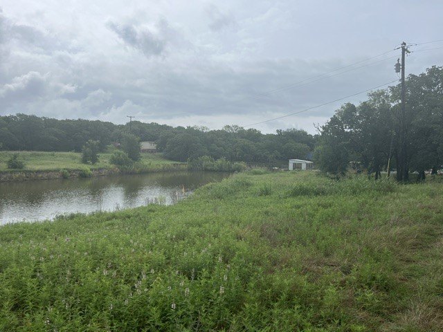 Picture 10