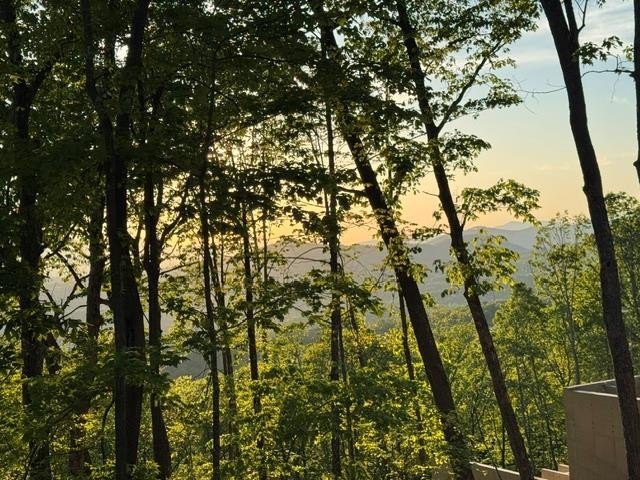 Mountain View Homesite Opportunity
