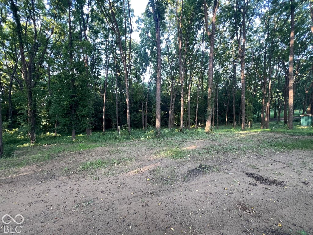 Picture 28