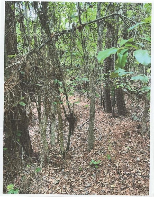 Picture 11