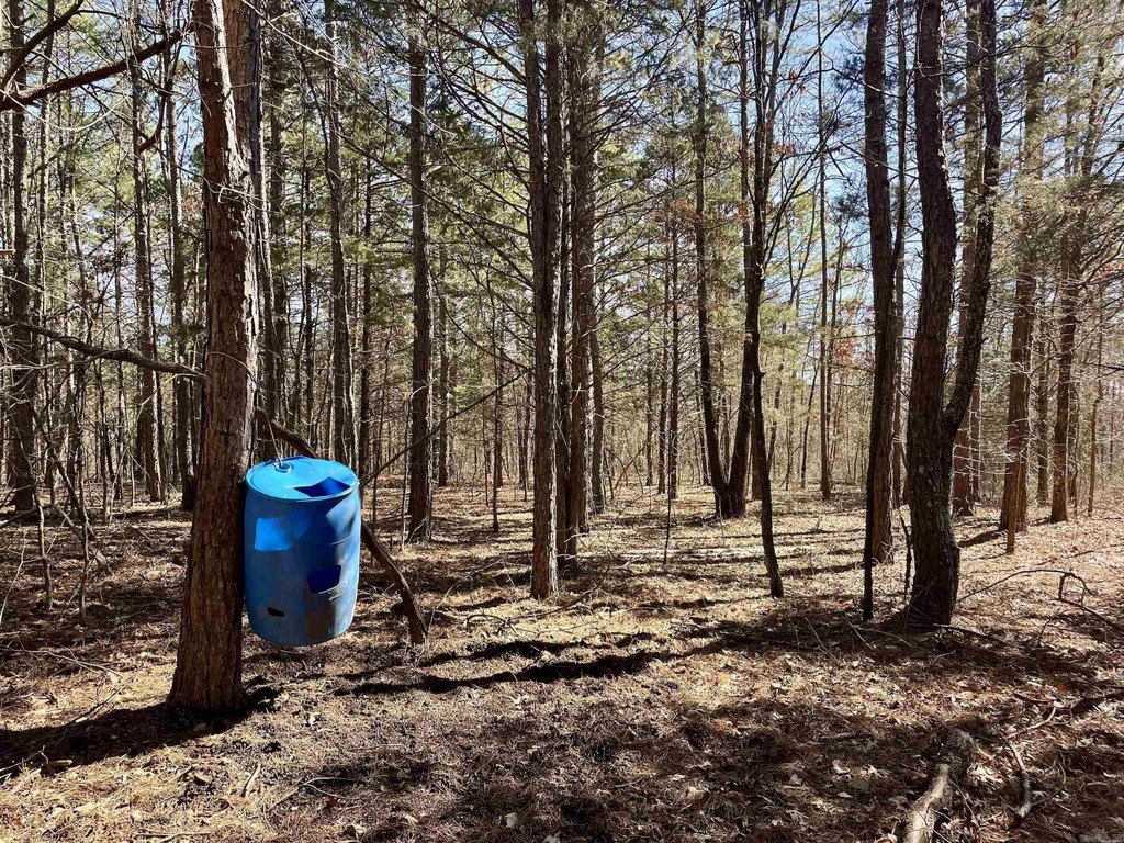 Picture 21