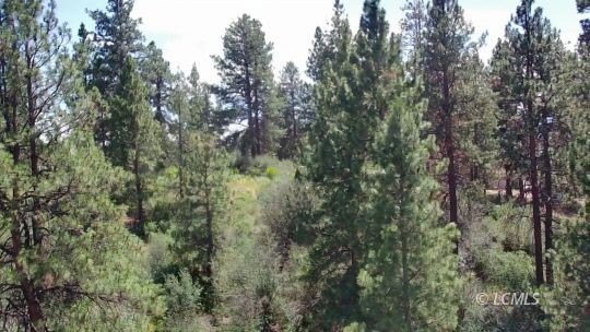Land in Oregon Shores