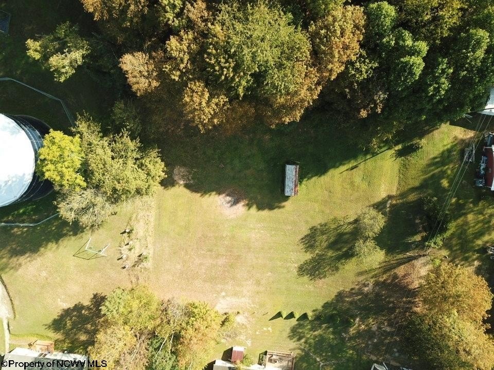 Picture 2