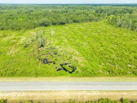 Stockton, GA: 14 Acres Land