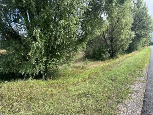 Picture 3
