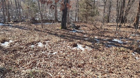 Bella Vista Buildable Sewer Lot