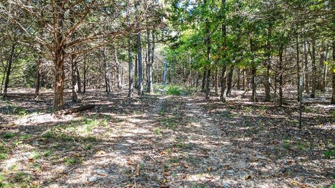 LAND - Prairie Grove, AR