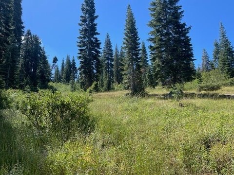 LAND - Bucks Lake, CA