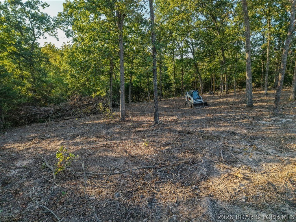 Picture 17