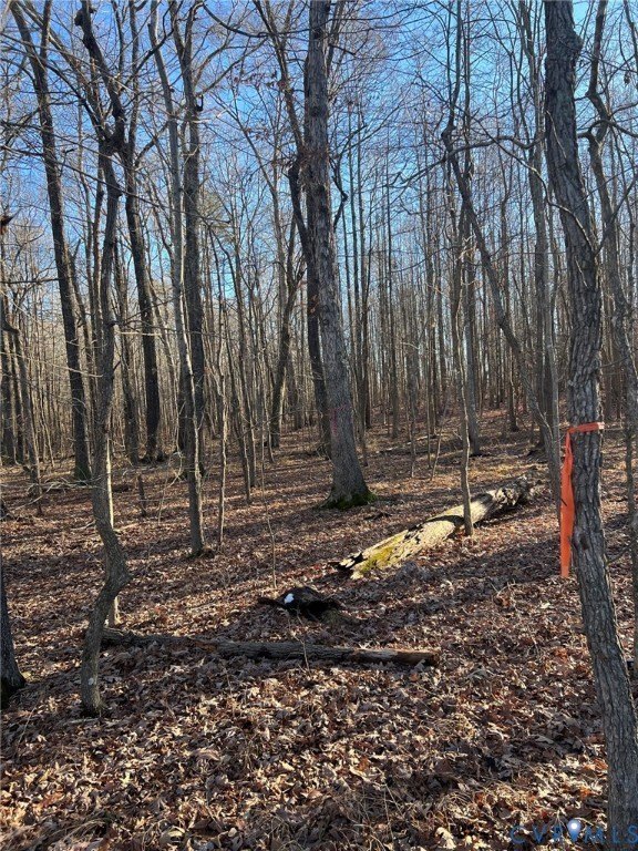 Unimproved Vacant Lot in Hopewell