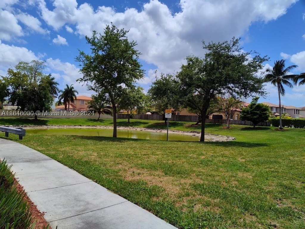Picture 21