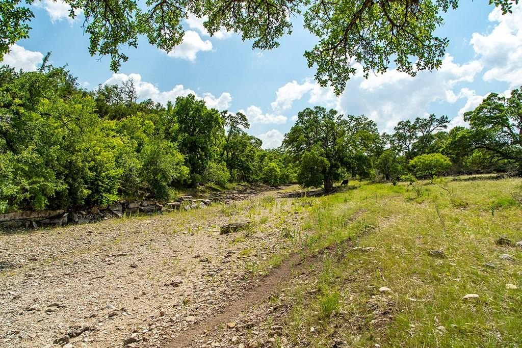 Picturesque Land near Pedernales River